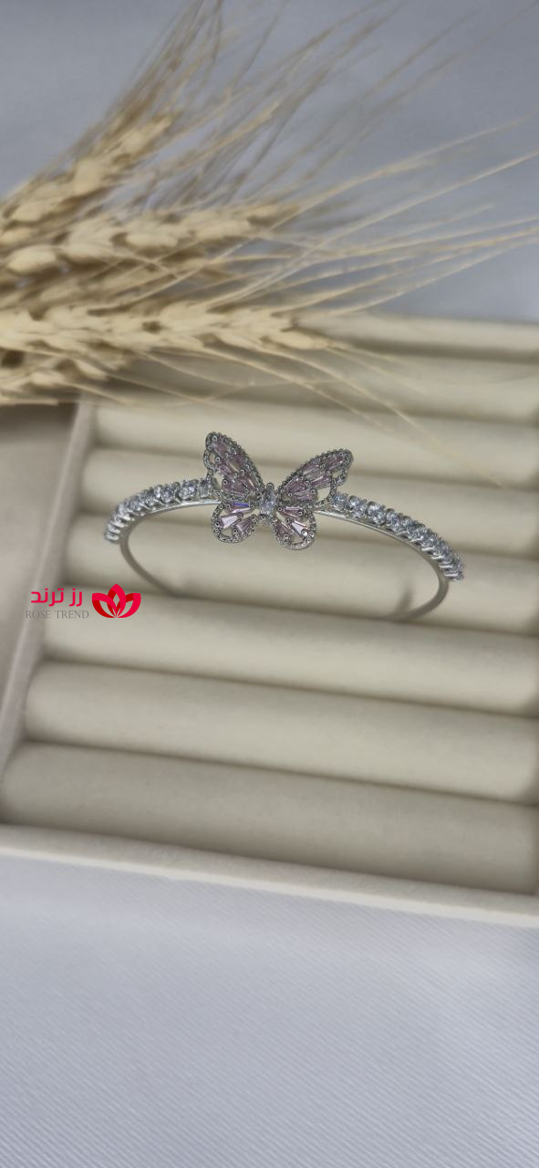 Photo_2025-12-09_19-23-06 بنگل پروانه - Image 1